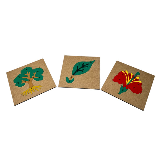 Juego Flor, hoja, árbol - Montessori